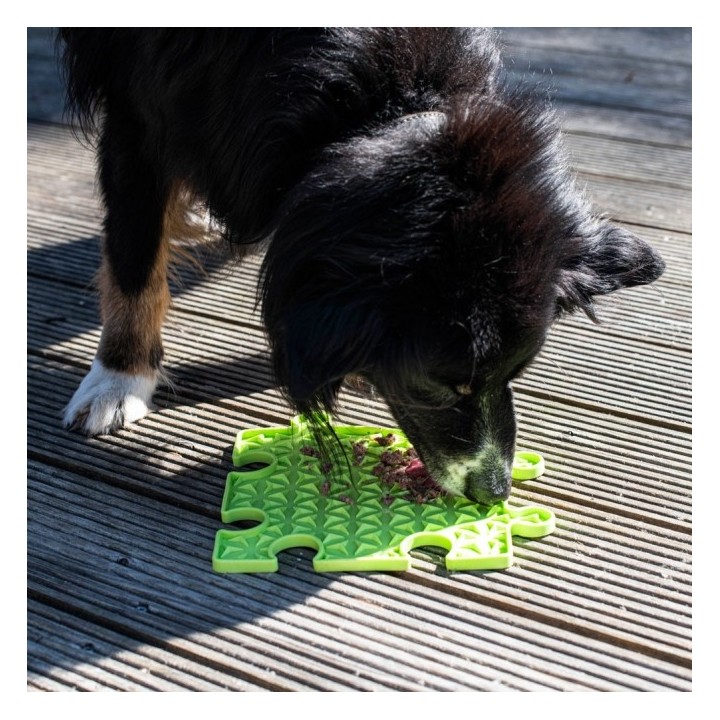 PROCYON Ladi Mat Schleckplatte Puzzle