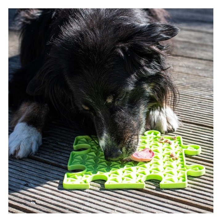 PROCYON Ladi Mat Schleckplatte Puzzle