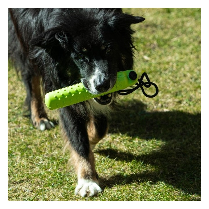 PROCYON Magic Treat Dummy