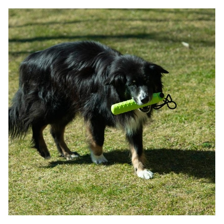 PROCYON Magic Treat Dummy