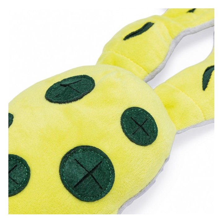 Beeztees Hide And Seek Frosch