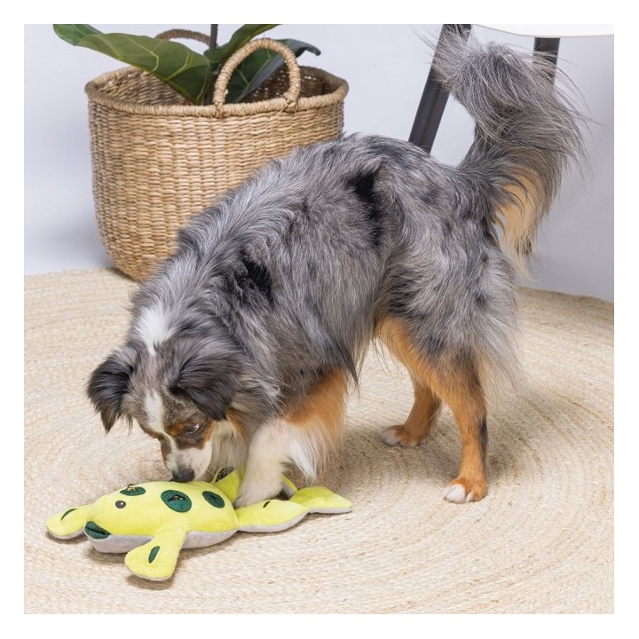 Beeztees Hide And Seek Frosch