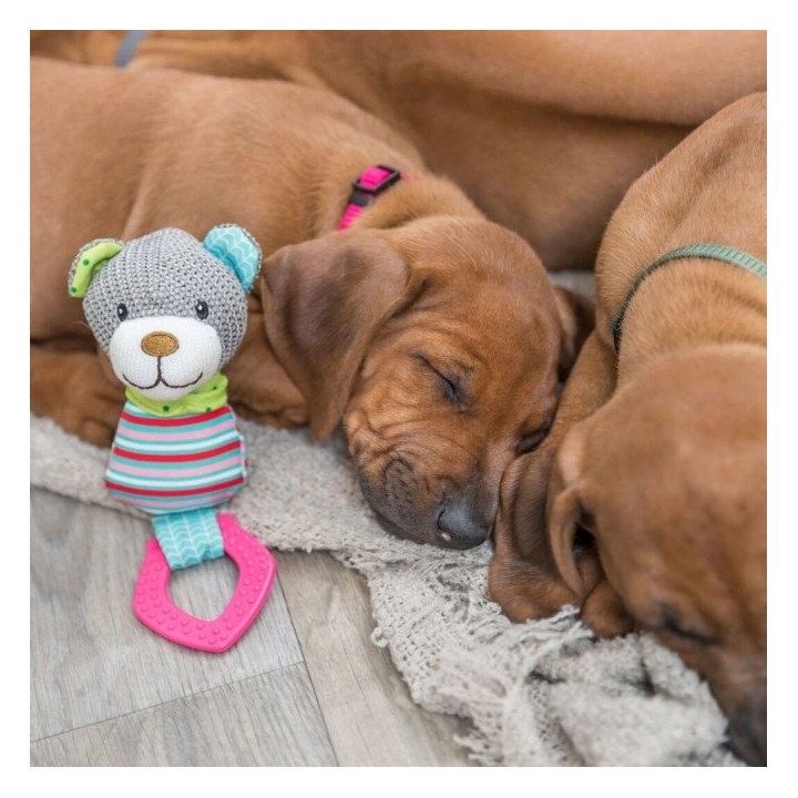 Trixie Junior Bär mit Beißring