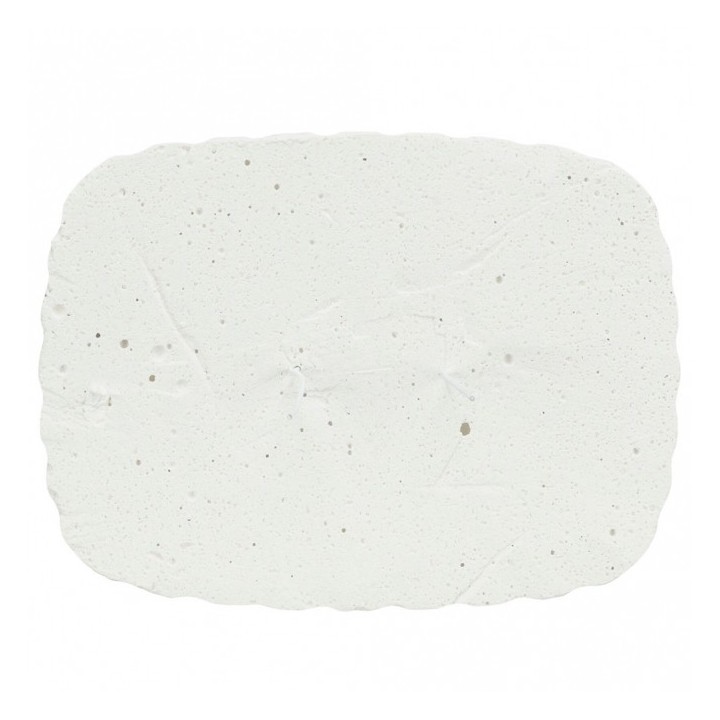 Trixie Pickstein mit Muscheln - 200 g