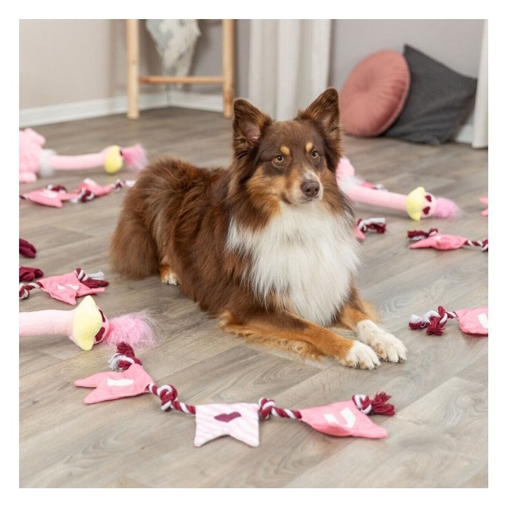 Trixie Hundespielzeug Valentines Tau