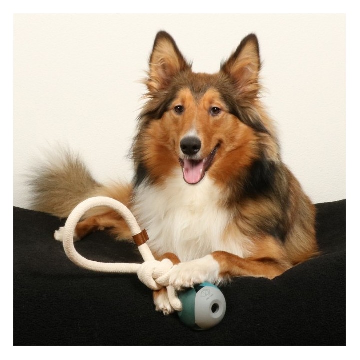 D&D Hundespielzeug Nora - lagoon