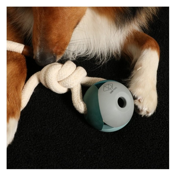 D&D Hundespielzeug Nora - lagoon