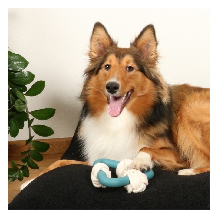 D&D Hundespielzeug Milou - lagoon