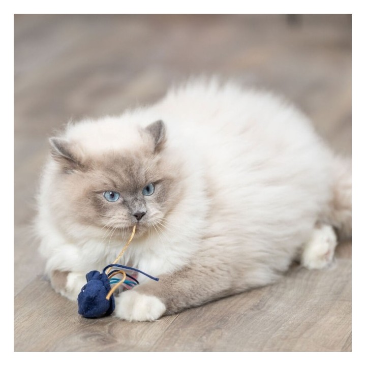 Trixie Katzenspielzeug Meerestiere