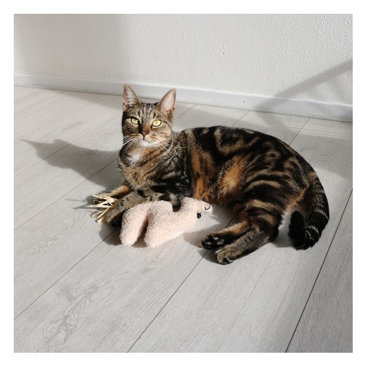 D&D Katzenkissen Latif