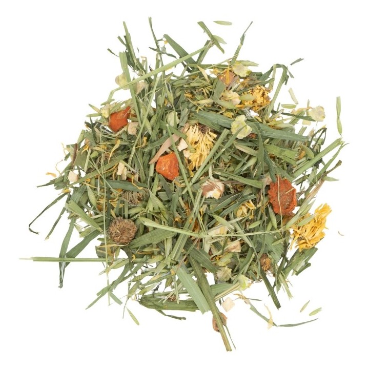 JR Farm Gemüse-Garten im Eimer 600g