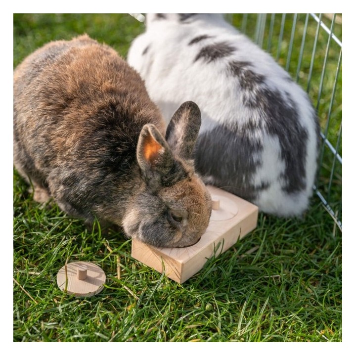 Trixie Snack Box für Vögel und Kleintiere