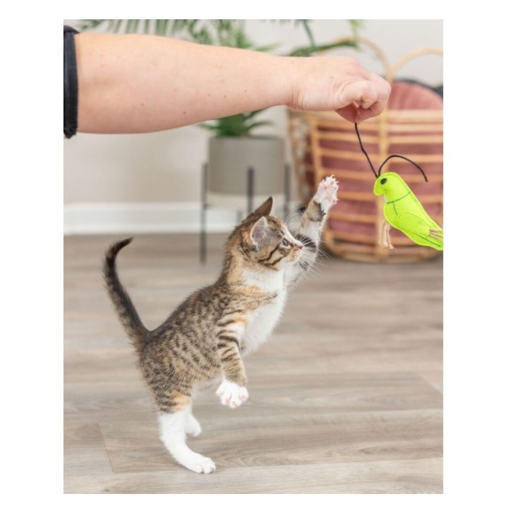 Trixie Insekten aus Filz mit Catnip