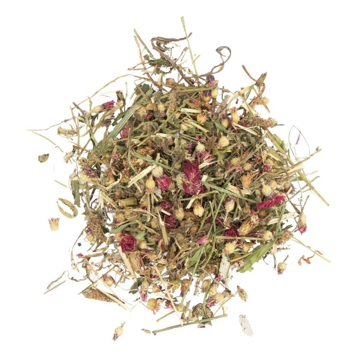 JR Farm Blüten-Zauber im Eimer 400g