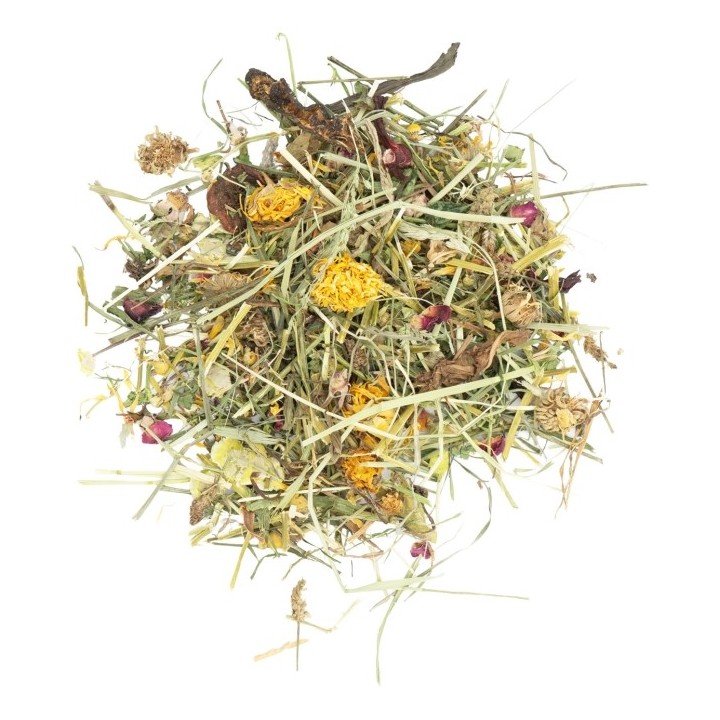 JR Farm Vital-Mix im Eimer 430g