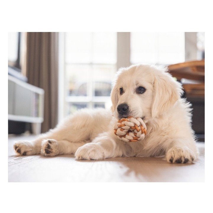 Beeztees Puppy Dental Seilring Mik - 8 x 8 x 3 cm