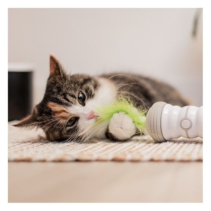 EBI Cat Toy Double Spinner - weiß/grün