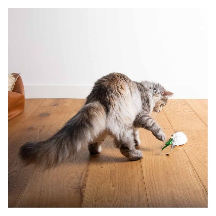 EBI Cat Toy Mouse on the move