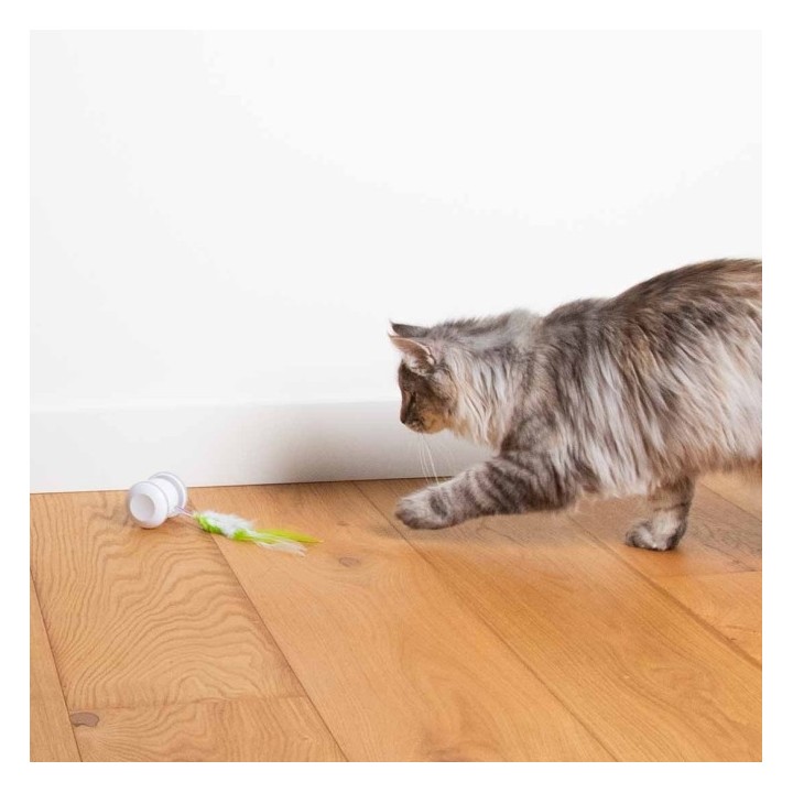 EBI Cat Toy Racing Roller