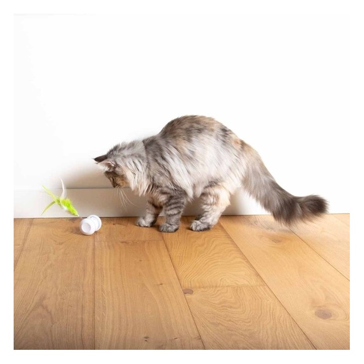 EBI Cat Toy Racing Roller