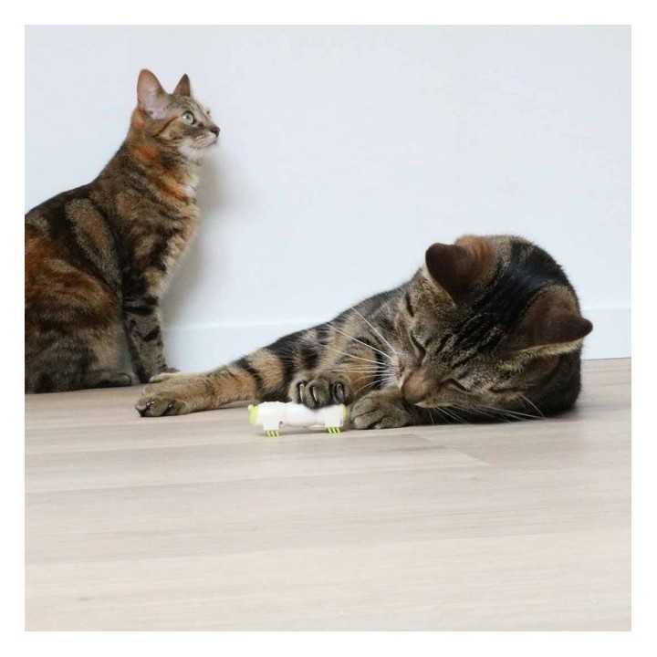 EBI Cat Toy Buzzing Caterpillar