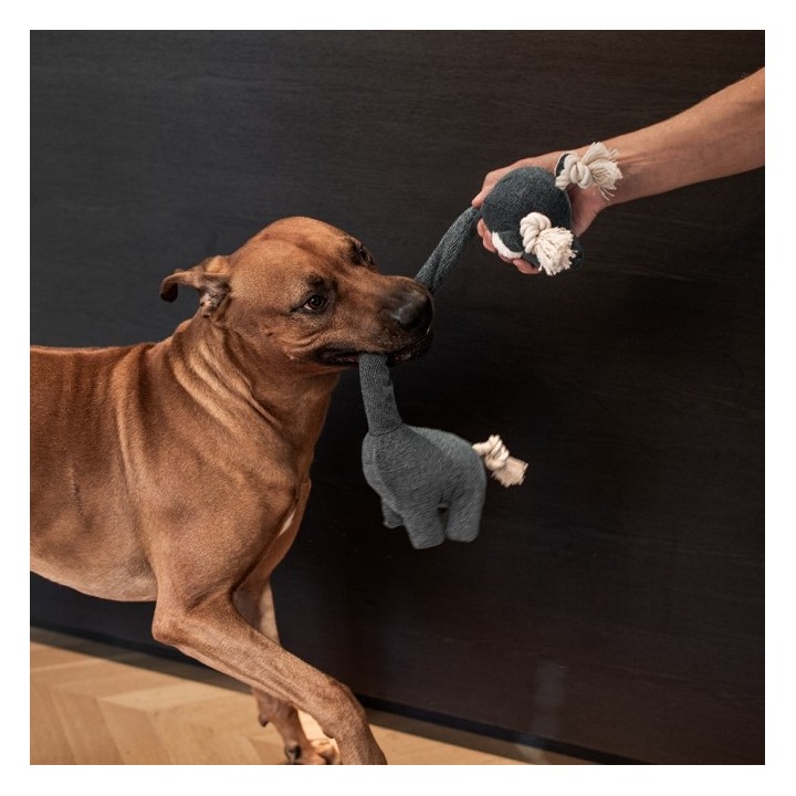 D&D Hundespielzeug Chenille George - blau