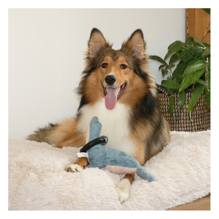 D&D Hundespielzeug Navy Chenille - blau