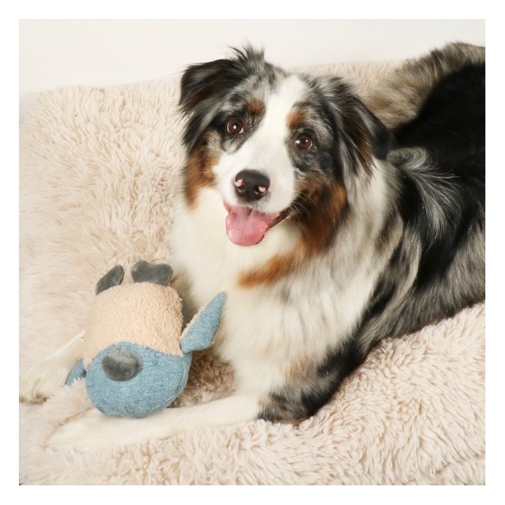 D&D Hundespielzeug Isla Chenille - blau