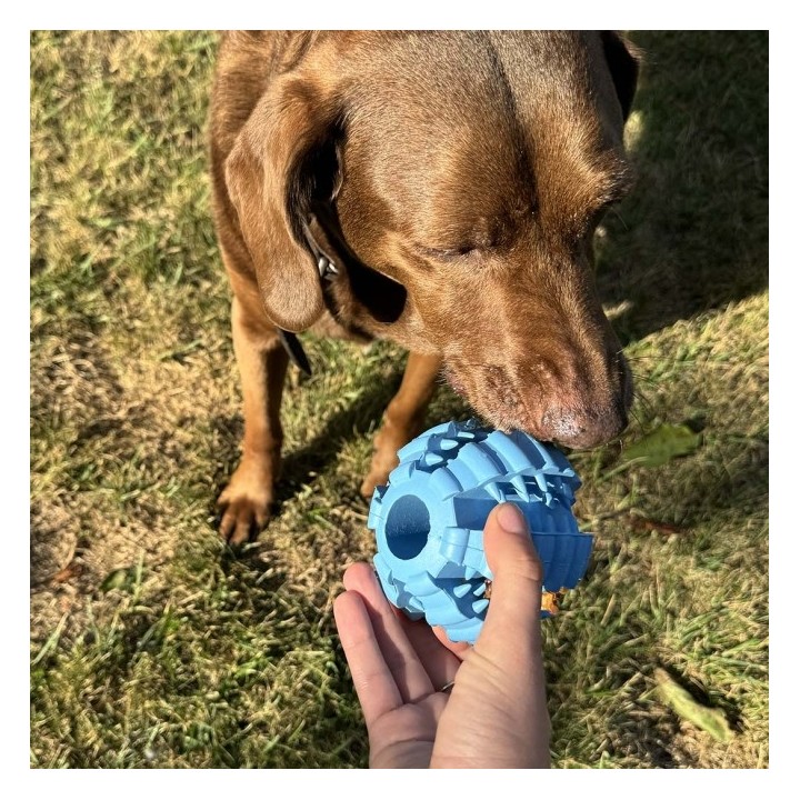 Duvoplus Ball Griplay Dental Rippe - Blau