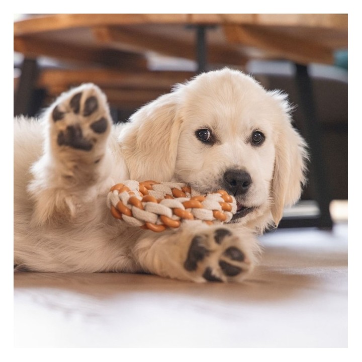 Beeztees Puppy Dental Seilring Mik - 14 x 14 x 32 cm