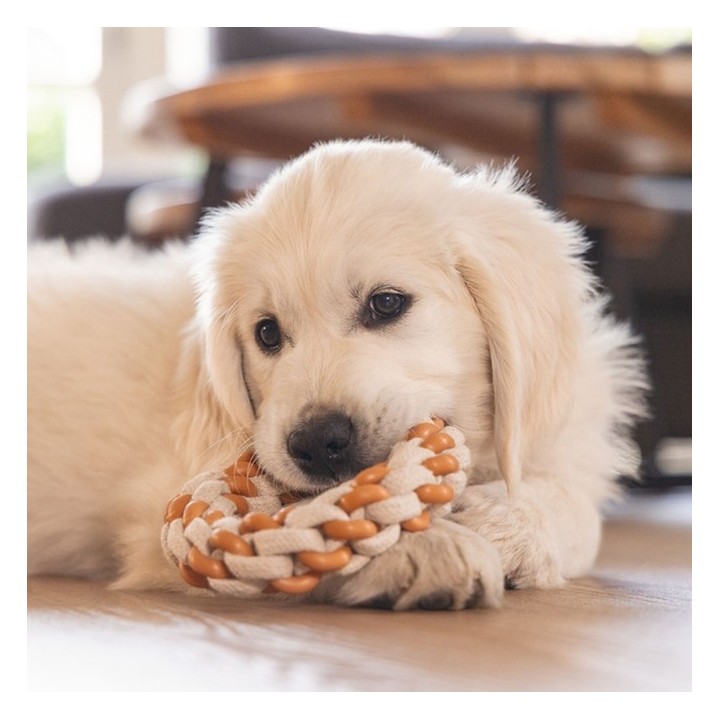 Beeztees Puppy Dental Seilring Mik - 14 x 14 x 32 cm