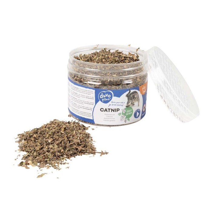 Duvoplus Katzenminze Dose 30g