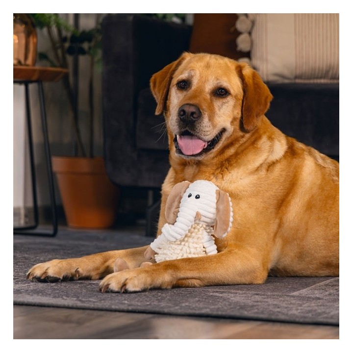 Beeztees Eco Kuscheltuch Nory