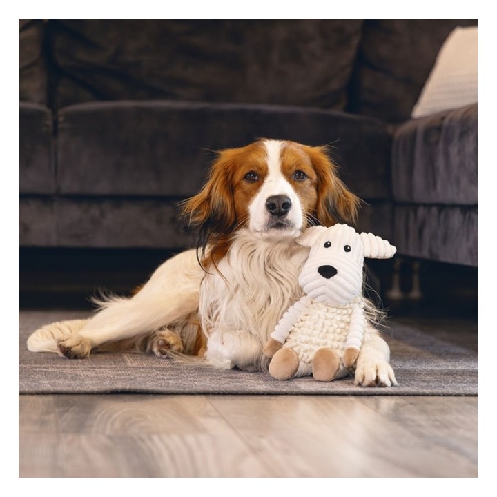 Beeztees Eco Hund Onne