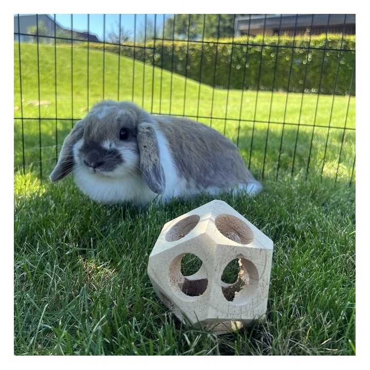 Duvoplus Holz-Spielball