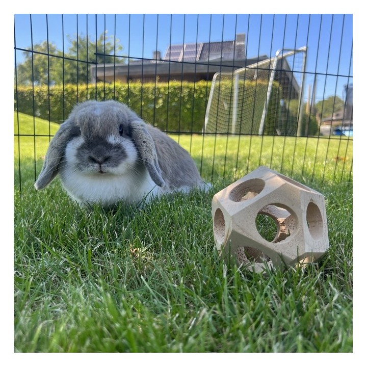 Duvoplus Holz-Spielball