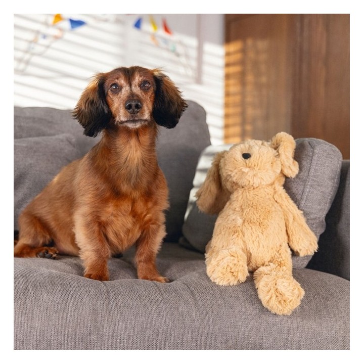 Beeztees Hundespielzeug Hund Vajen