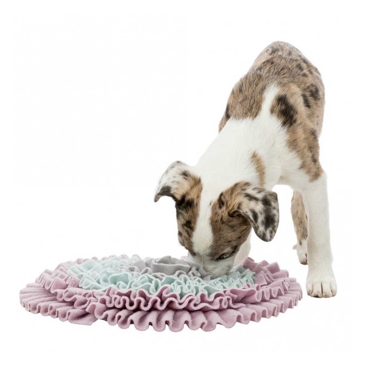 Trixie Junior Schnüffelteppich - 38 cm