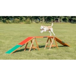Trixie Fun Agility Steg