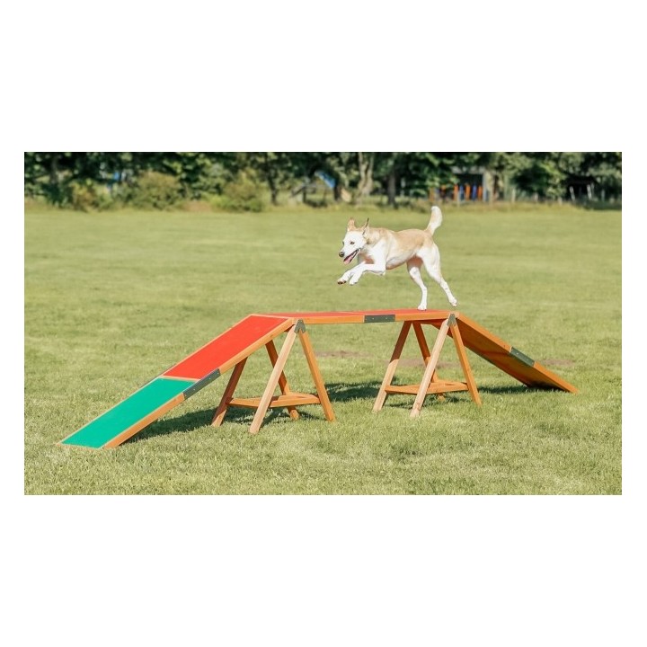 Trixie Fun Agility Steg