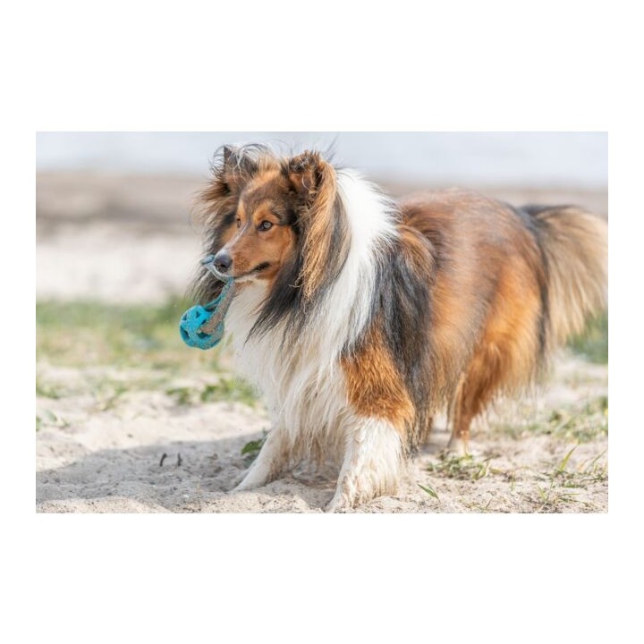 Trixie Wabenball am Seil aus TPE