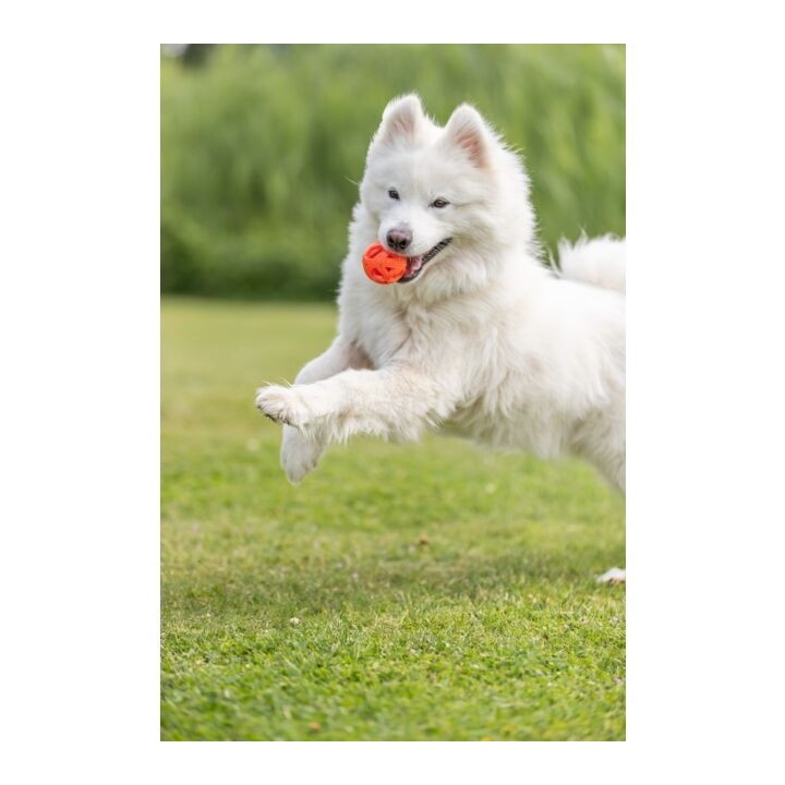 Trixie Wabenball aus TPE - 6cm