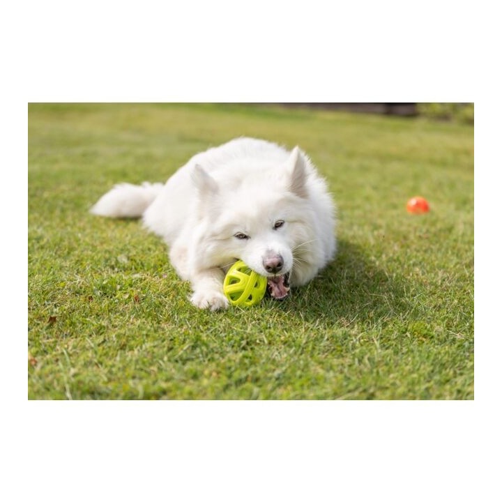 Trixie Wabenrugby aus TPE - 11cm