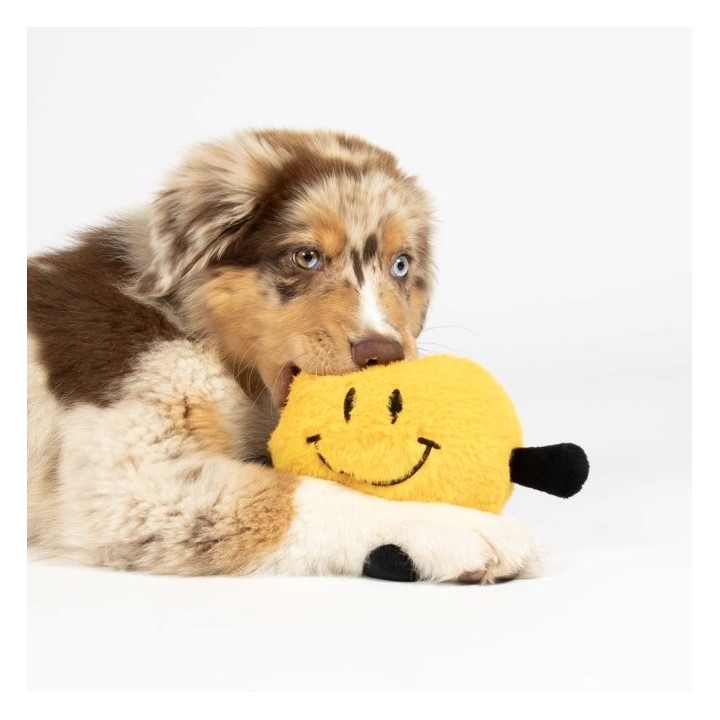 Coockoo Hundespielzeug Bouncy Buddy - gelb