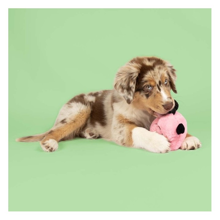 Coockoo Hundespielzeug Bouncy Buddy - rosa