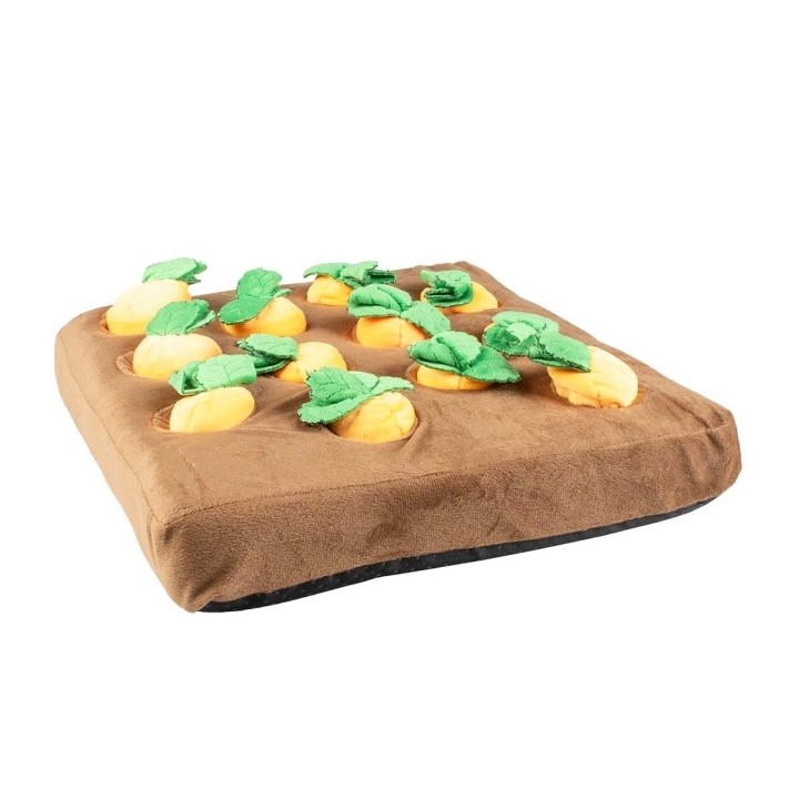 Duvoplus Schnüffelmatte Karottengarten
