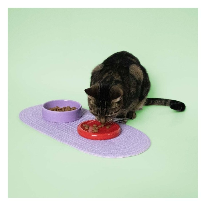 Coockoo Futternapf FUNKY FEEDING - rot/violett