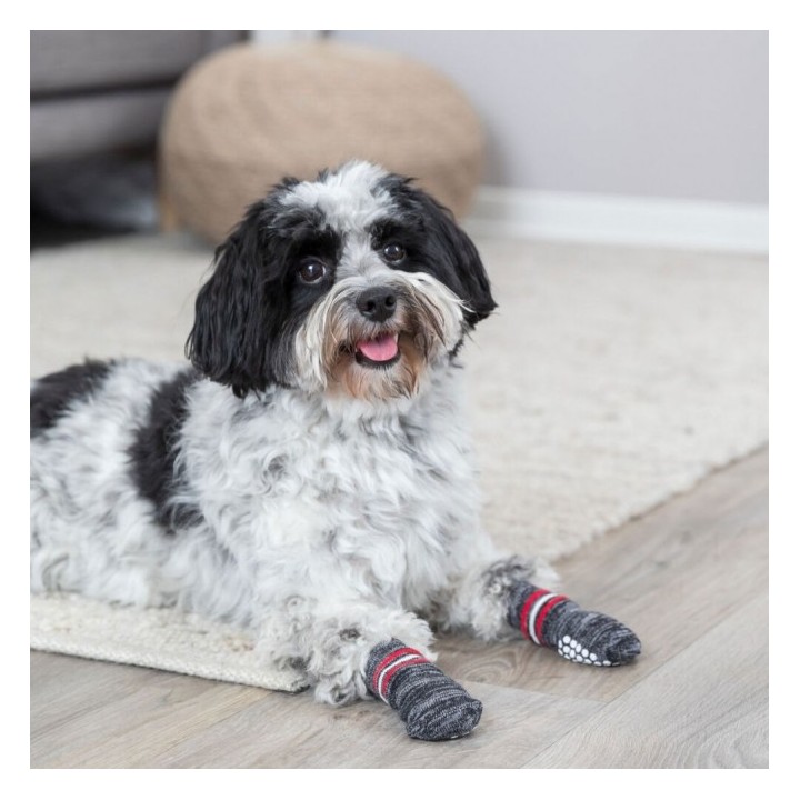 Trixie Hundesocken - Grau - XS-S