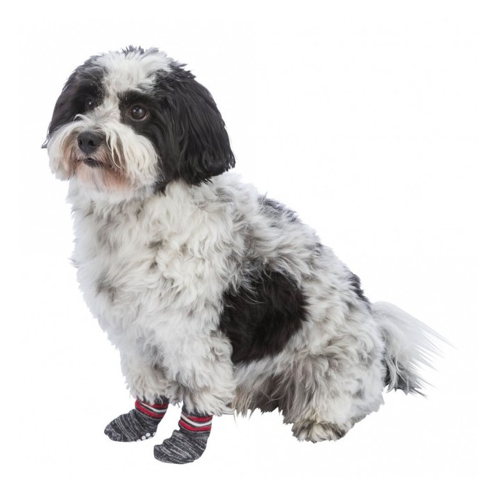 Trixie Hundesocken - Grau - M-L