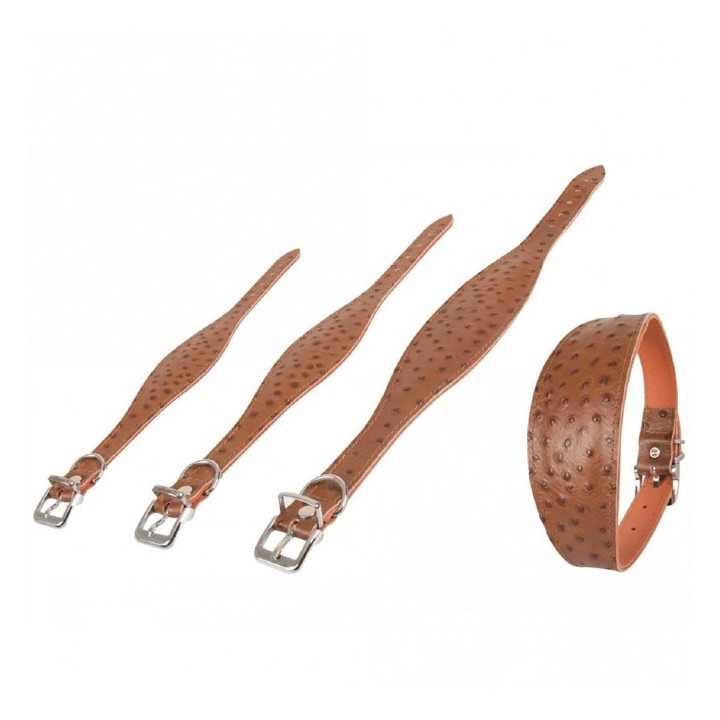 Karlie Windhund-Halsband Ventus - 55cm / Braun